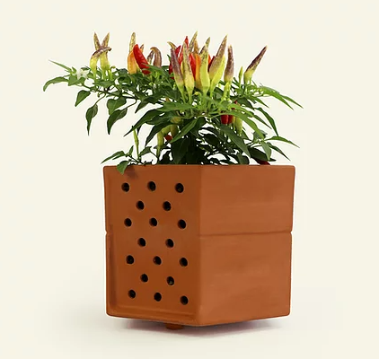 Horticus Planter - Image 2