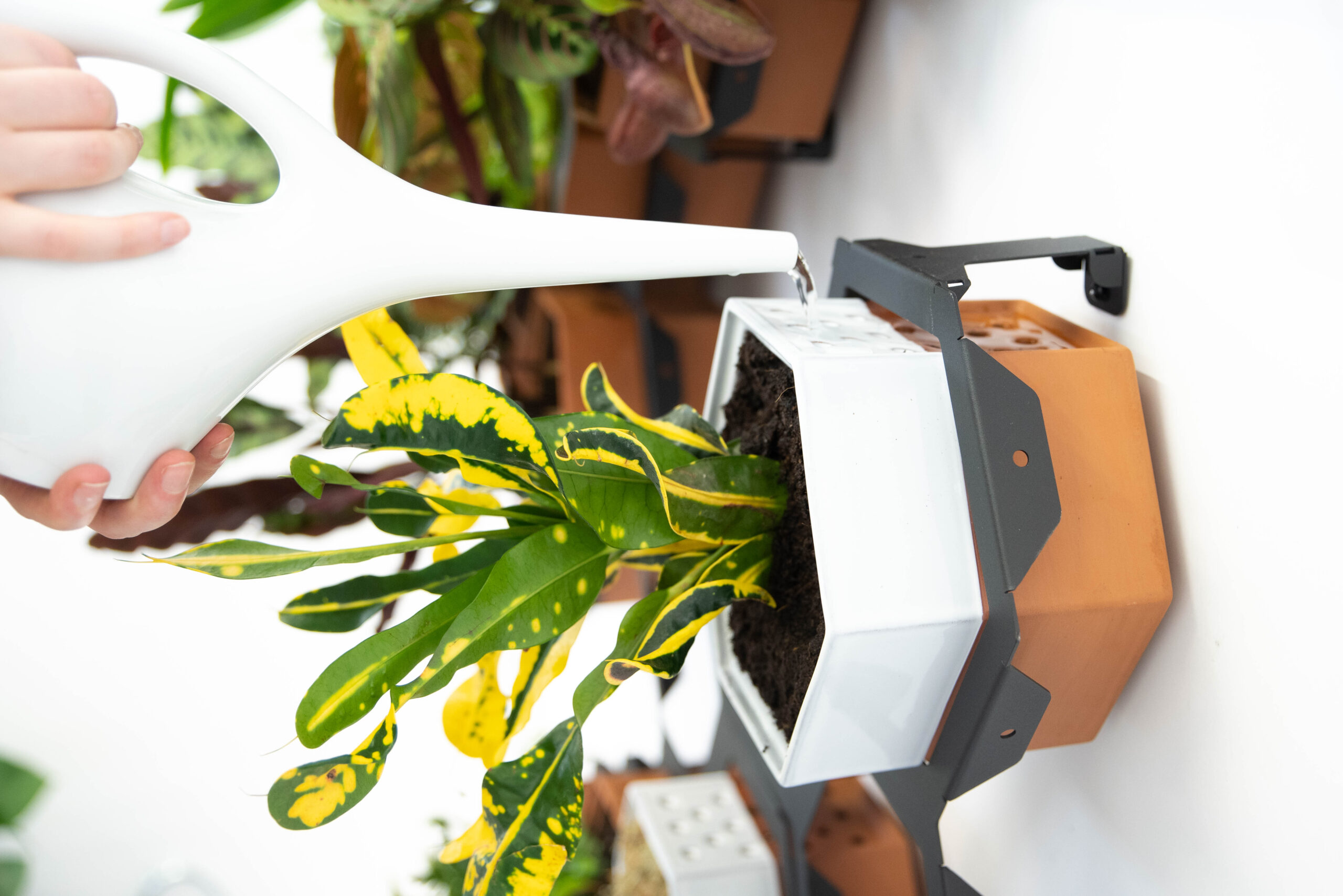 Horticus Planter - Image 4
